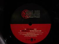 ASIAN DUB FAOUNDATION / 1000 MIRRORS