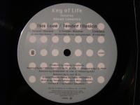 KEY OF LIFE featuring ALISON LIMERICK / THIS LOVE/