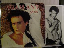 ADAM ANT / STRIP