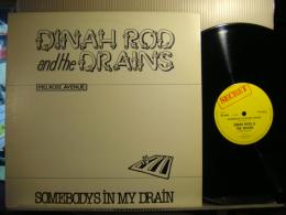 DINAH ROD AND THE DRAINS / SOMEBODYS IN MY DRAIN