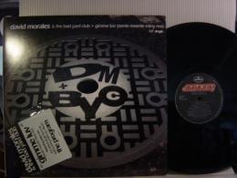 DAVID MORALES & THE BAD YARD CLUB / GIMME LUV