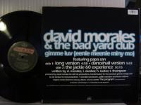 DAVID MORALES & THE BAD YARD CLUB / GIMME LUV