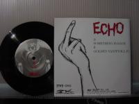 ECHO / SOMETHING IS BACK