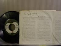 BADFINGER / 嵐の恋(NO MATTER WHAT)