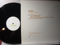 CUBISMO GRAFICO / BLISSFUL