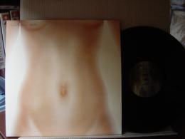 FANTASTIC PLASTIC MACHINE / WHY NOT?