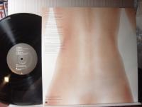 FANTASTIC PLASTIC MACHINE / WHY NOT?