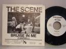 SCENE / BRUISE IN ME