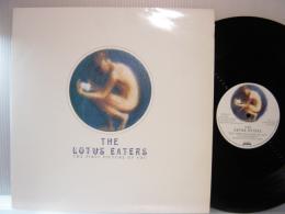 LOTUS EATERS / 1ST PICTURE OF YOU