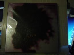 BIRD / S/T
