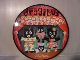 DRAGIBUS / LIVE IN JAPAN+LITTLE SOUND