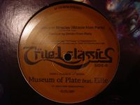 MUSEUM OF PLATE / THE GROUND