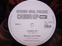 STONED SOUL PICNIC / CHEER UP VINYL