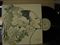 ORANGE PEKOE / ORGANIC PLASTIC MUSIC