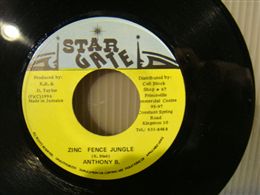 ANTHONY B / ZINC FENCE JUMGLE