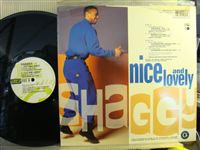 SHAGGY / NICE & LOVELY