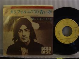 ALBERT HAMMOND / IT NEVER RAINS IN SOUTHERN CALIFO