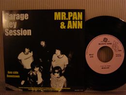 MR.PAN & ANN / GARAGE KEY SESSION