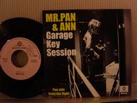 MR.PAN & ANN / GARAGE KEY SESSION