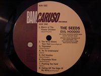 SEEDS / EVIL HOODOO