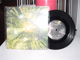 OOBERMAN / TEARS FROM A WILLOW