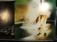 LENE LOVICH / FLEX