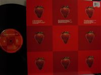 LIGHTING SEEDS / LUCKY YOU
