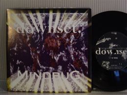 DOWNSET/MINDBUG / SPLIT