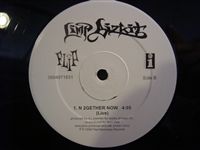 LIMP BIZKIT / TAKE A LOOK AROUND