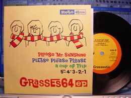 GRASSES 64 / PLEASE MR. SUNSHINE