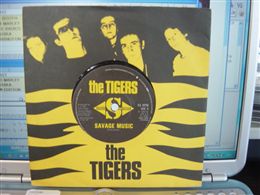 TIGERS / SAVAGE MUSIC