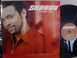 SHAGGY / IT WASN'T ME 