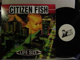 CITIZEN FISH / LIFE SIZE